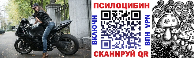 Псилоцибиновые грибы мицелий  продажа наркотиков  Наволоки 